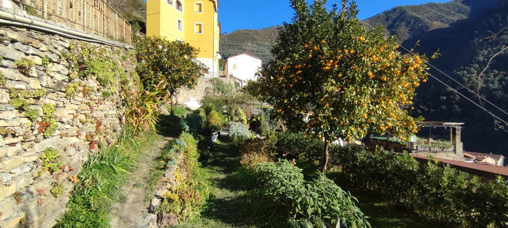 Casa Pablo Βίλα Badalucco Εξωτερικό φωτογραφία